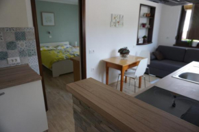 Apartma Irena Volče